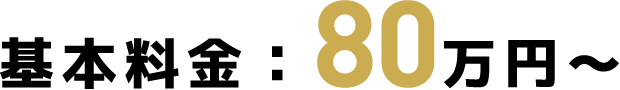 基本料金:80万円~