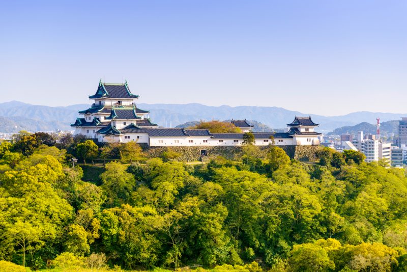和歌山城で「築城の影に隠された起死回生の秘策」謎解きを体験