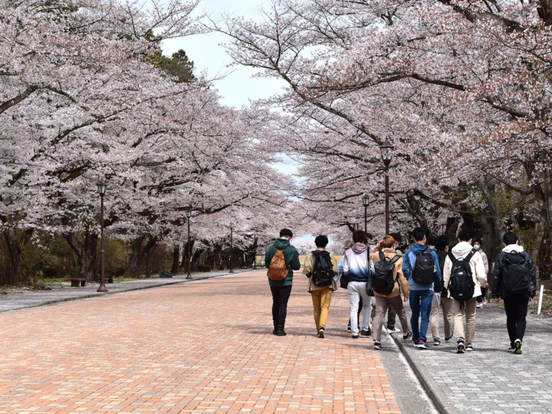 日本大学工学部様の新入生研修で周遊型謎解き「トレジャーハンティング」を実施しました!